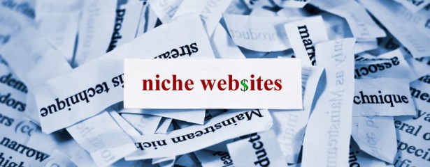 niche websites make money